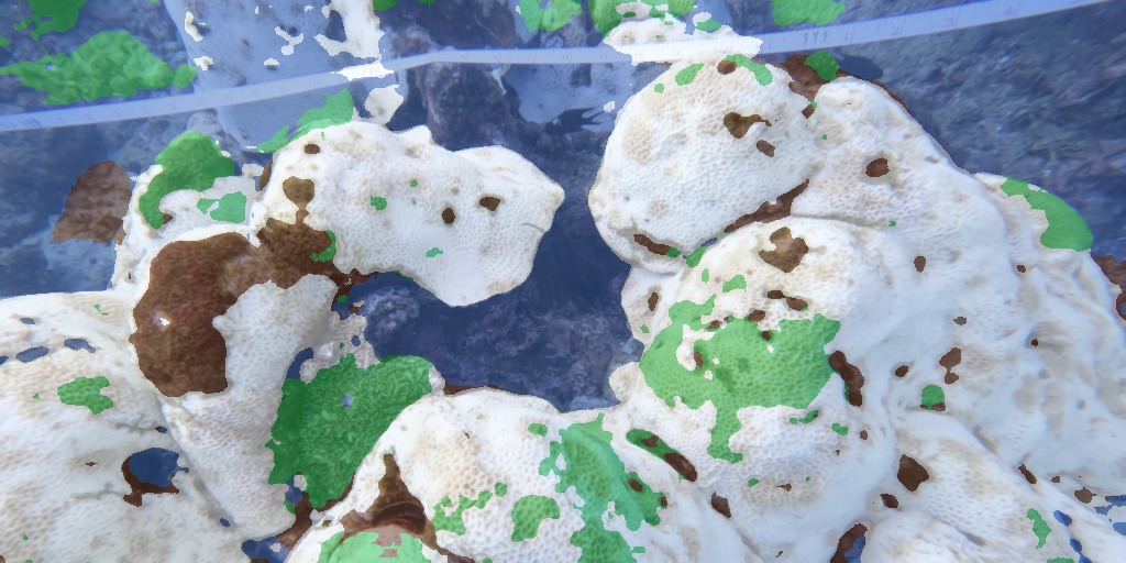 Close-up segmentation overlay of a largely bleached coral colony with scattered patches of live tissue.