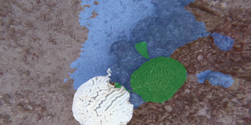 Top-down segmentation overlay showing a live green brain coral beside a bleached white colony on sandy substrate.